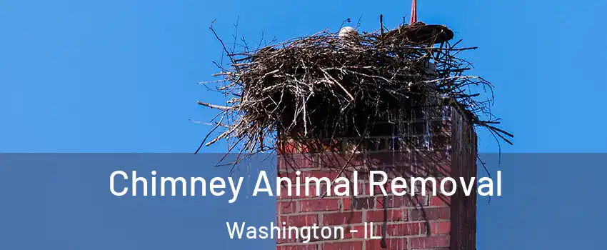  Chimney Animal Removal Washington - IL
