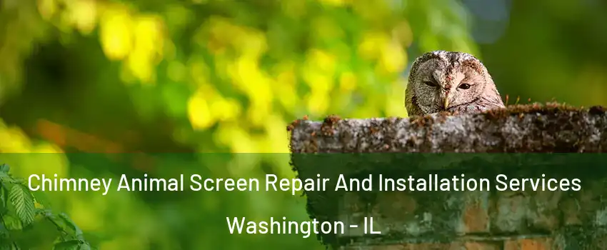  Chimney Animal Screen Repair And Installation Services Washington - IL