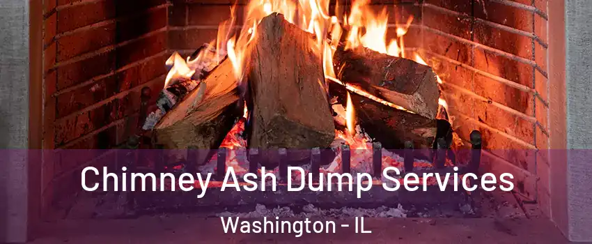  Chimney Ash Dump Services Washington - IL