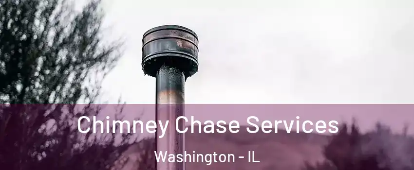  Chimney Chase Services Washington - IL