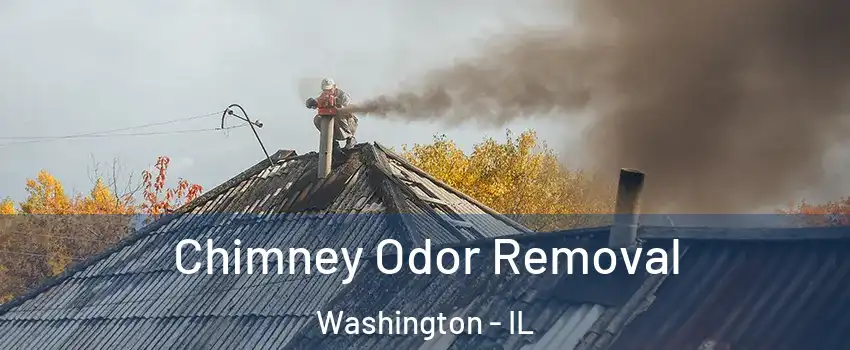  Chimney Odor Removal Washington - IL