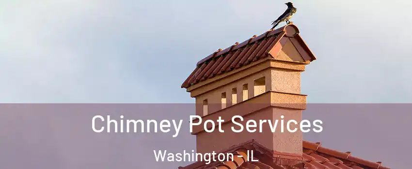  Chimney Pot Services Washington - IL