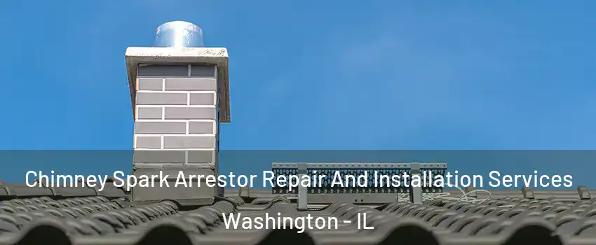  Chimney Spark Arrestor Repair And Installation Services Washington - IL
