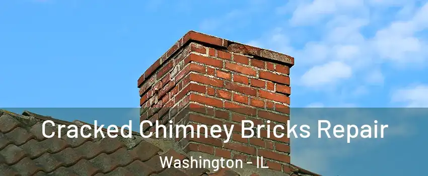  Cracked Chimney Bricks Repair Washington - IL