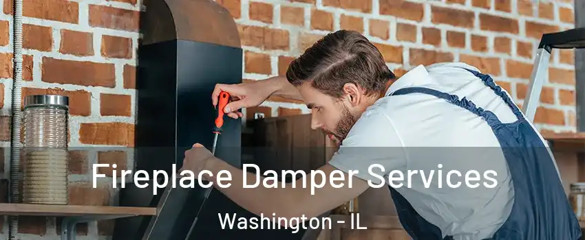  Fireplace Damper Services Washington - IL