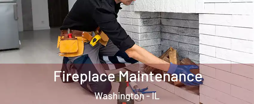  Fireplace Maintenance Washington - IL