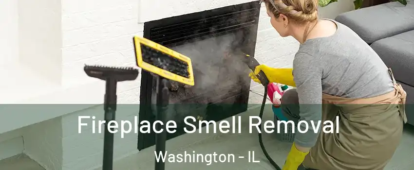  Fireplace Smell Removal Washington - IL