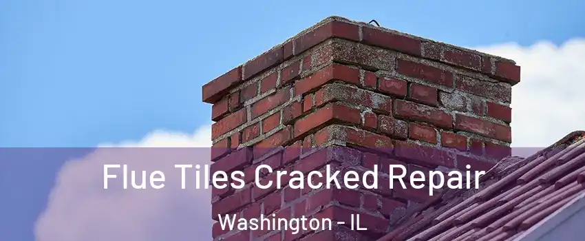  Flue Tiles Cracked Repair Washington - IL