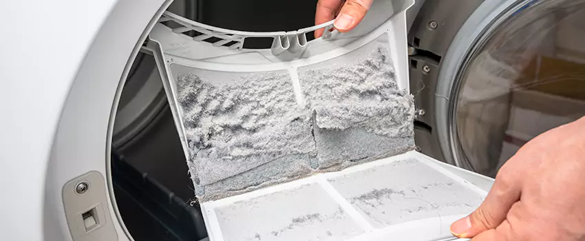 Best Dryer Lint Removal Company in Washington, Illinois