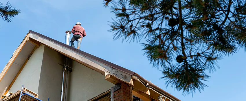 Birds Removal Contractors from Chimney in Washington, IL